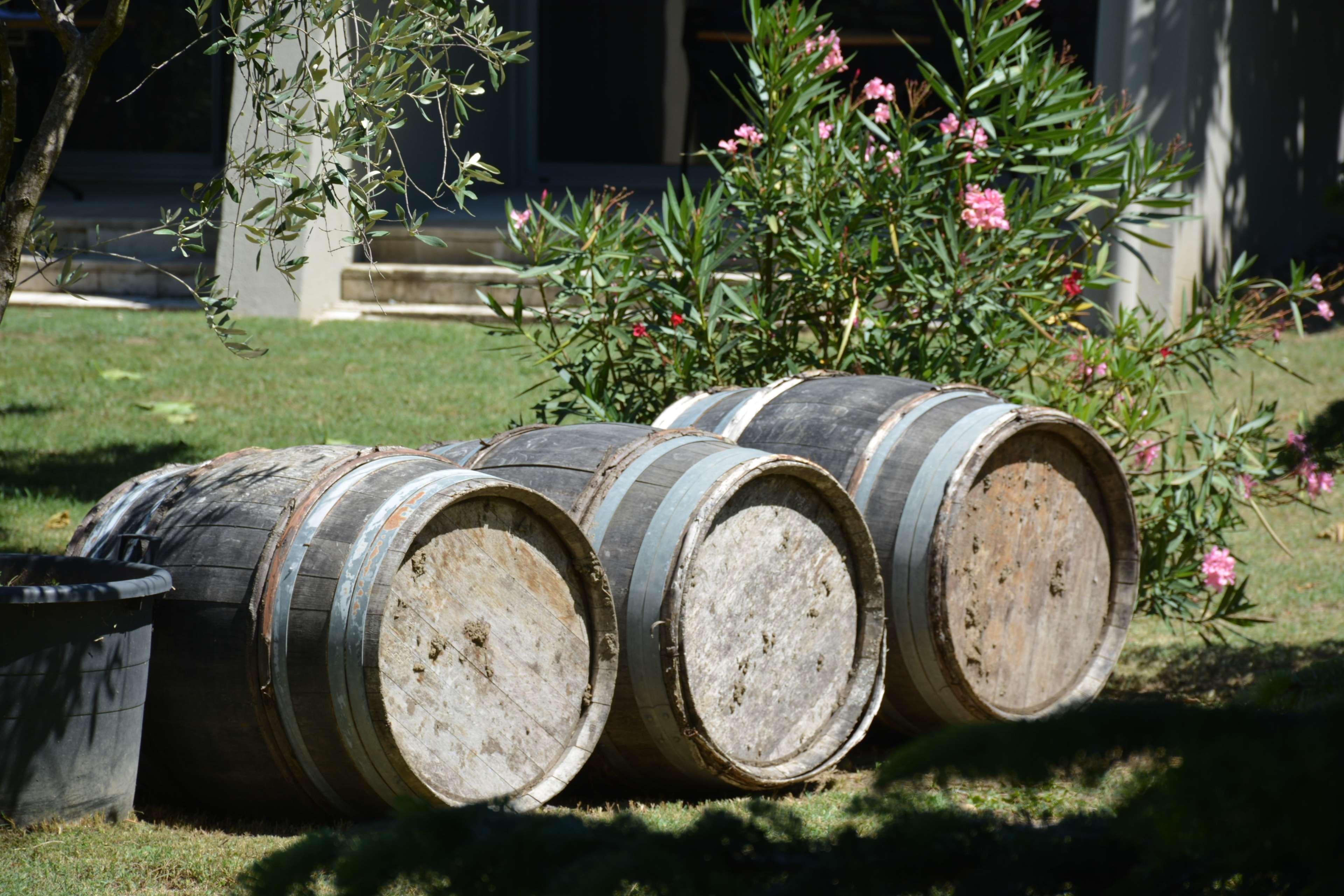 Best Western Plus Clos Syrah Valence  Exterior foto